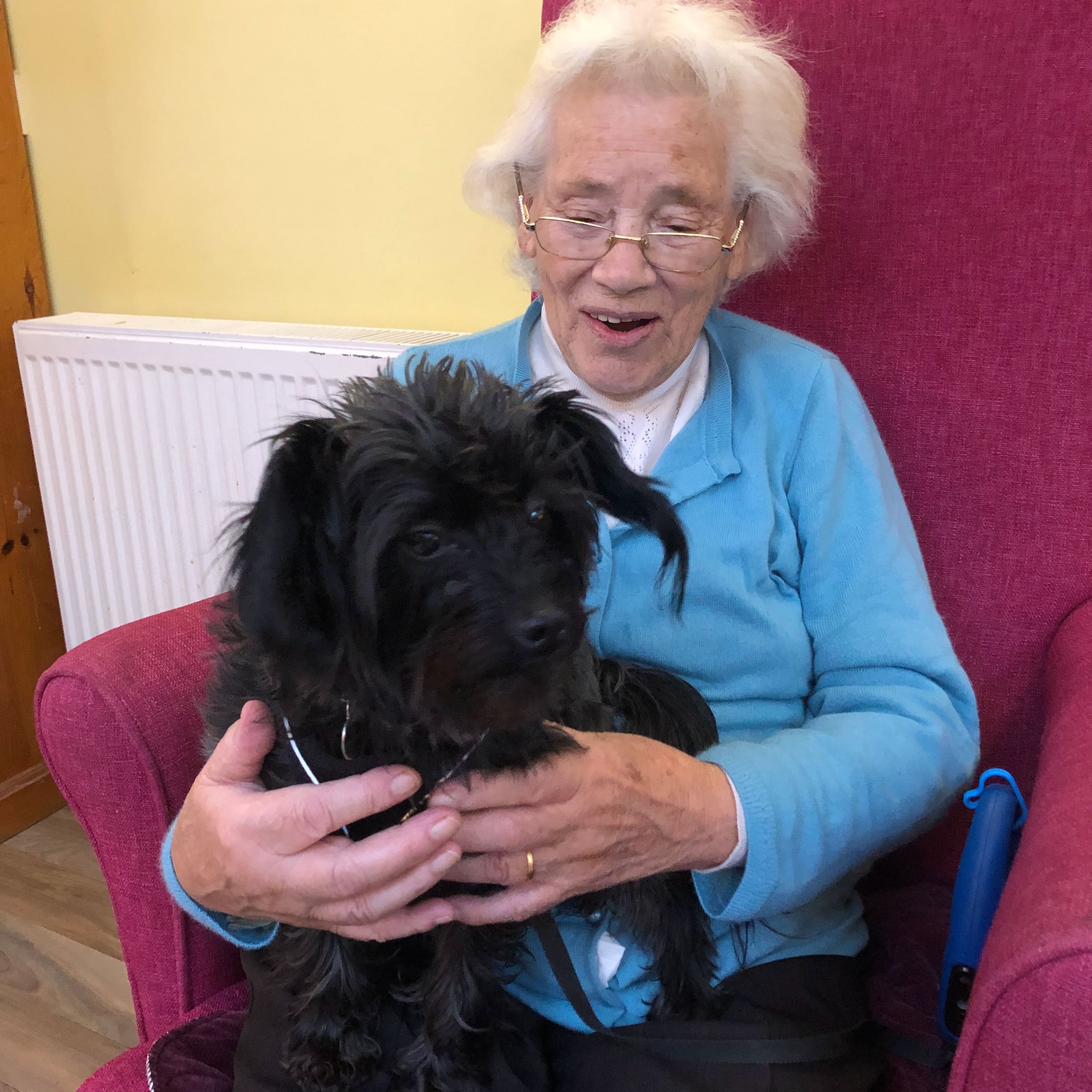 Pet therapy pup Noodle the dog visits Linden House to surprise residents just before Christmas.